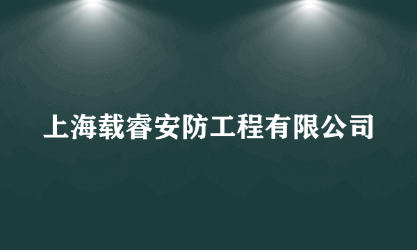 上海载睿安防工程有限公司