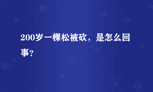 200岁一棵松被砍，是怎么回事？