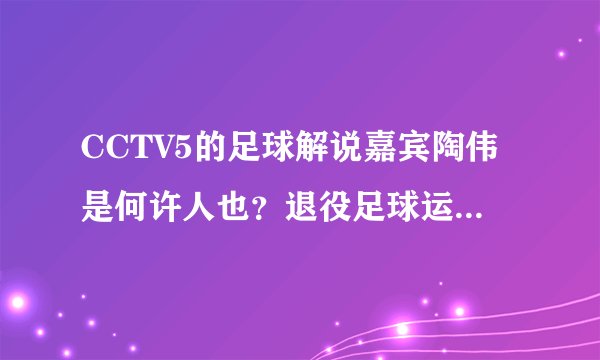 CCTV5的足球解说嘉宾陶伟是何许人也？退役足球运动员吗？