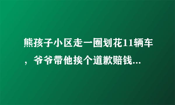 熊孩子小区走一圈划花11辆车，爷爷带他挨个道歉赔钱，后来怎样了？