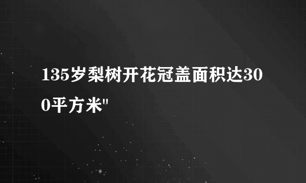 135岁梨树开花冠盖面积达300平方米