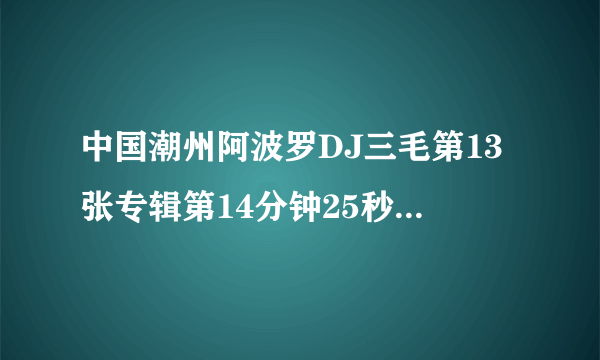 中国潮州阿波罗DJ三毛第13张专辑第14分钟25秒后的歌名是什么？