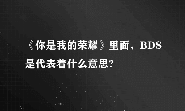 《你是我的荣耀》里面，BDS是代表着什么意思?