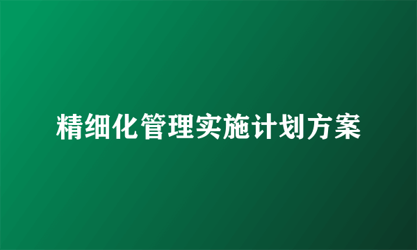 精细化管理实施计划方案