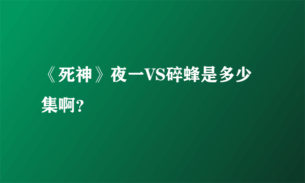 《死神》夜一VS碎蜂是多少集啊？