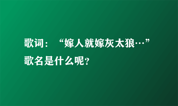 歌词：“嫁人就嫁灰太狼…”歌名是什么呢？