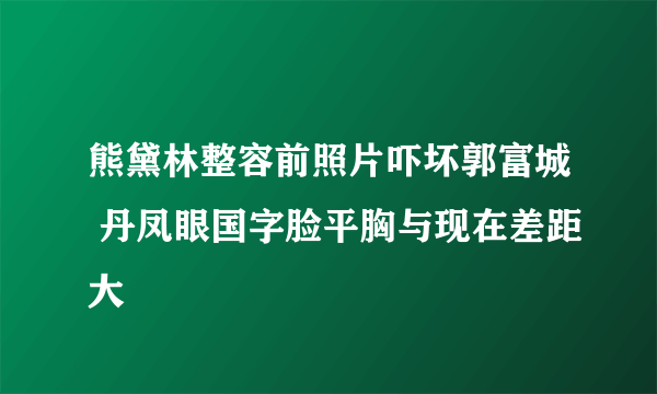 熊黛林整容前照片吓坏郭富城 丹凤眼国字脸平胸与现在差距大