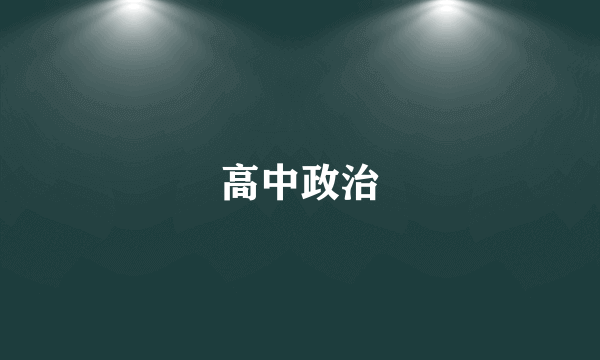 高中政治