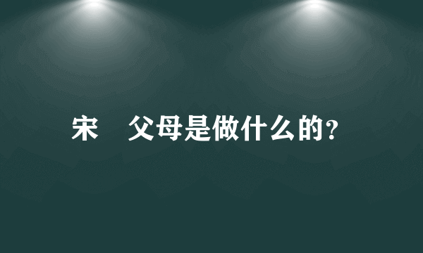 宋喆父母是做什么的？