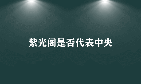 紫光阁是否代表中央