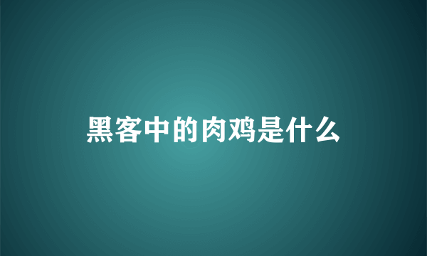 黑客中的肉鸡是什么