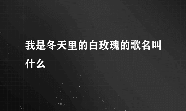 我是冬天里的白玫瑰的歌名叫什么