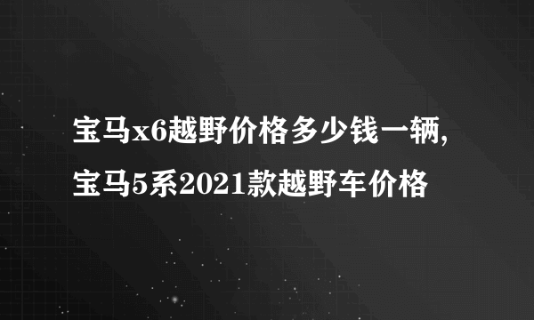 宝马x6越野价格多少钱一辆,宝马5系2021款越野车价格