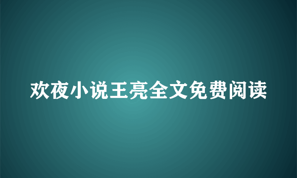 欢夜小说王亮全文免费阅读