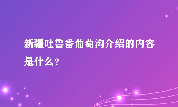 新疆吐鲁番葡萄沟介绍的内容是什么？