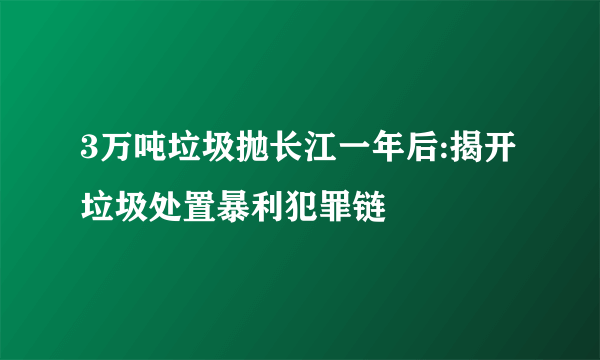 3万吨垃圾抛长江一年后:揭开垃圾处置暴利犯罪链