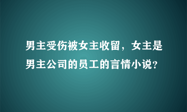 男主受伤被女主收留，女主是男主公司的员工的言情小说？