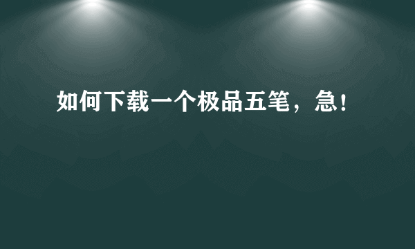 如何下载一个极品五笔，急！