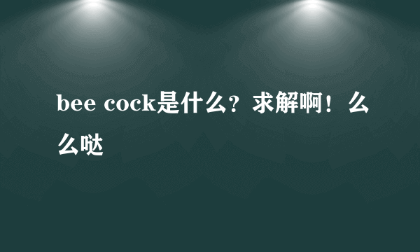 bee cock是什么？求解啊！么么哒