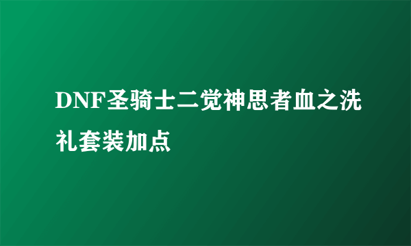 DNF圣骑士二觉神思者血之洗礼套装加点