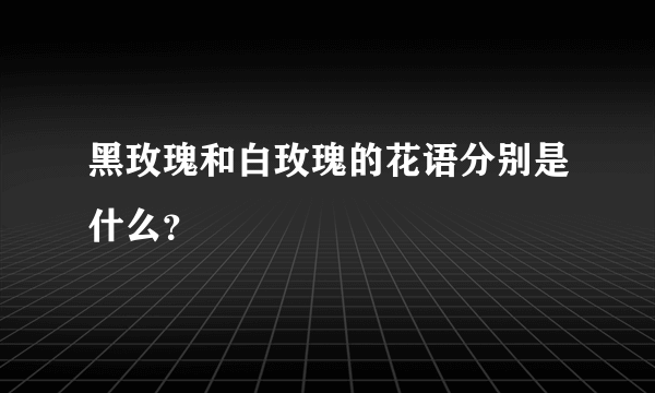 黑玫瑰和白玫瑰的花语分别是什么？