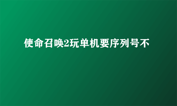 使命召唤2玩单机要序列号不