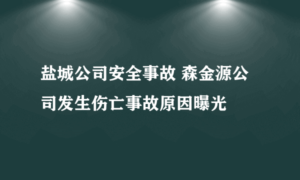 盐城公司安全事故 森金源公司发生伤亡事故原因曝光