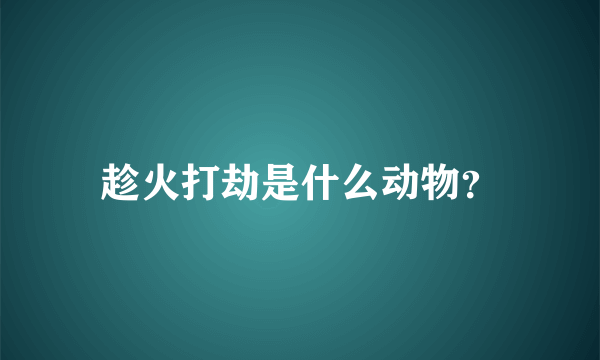 趁火打劫是什么动物？