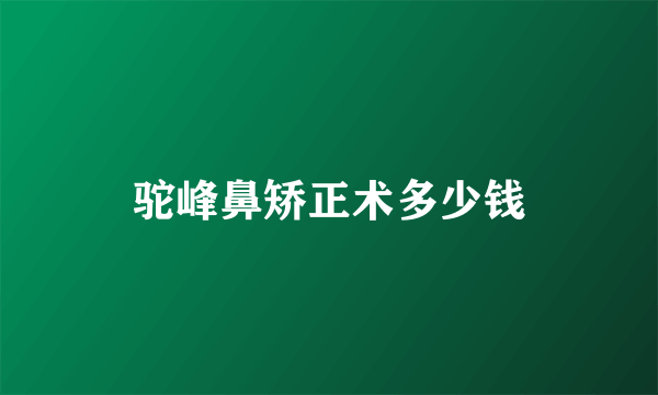 驼峰鼻矫正术多少钱