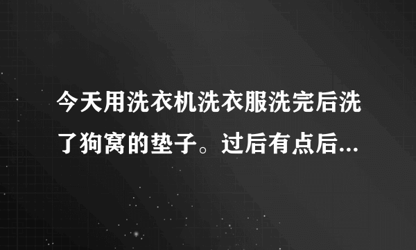 今天用洗衣机洗衣服洗完后洗了狗窝的垫子。过后有点后悔了。请问大家的狗垫子用人用的洗衣机洗吗