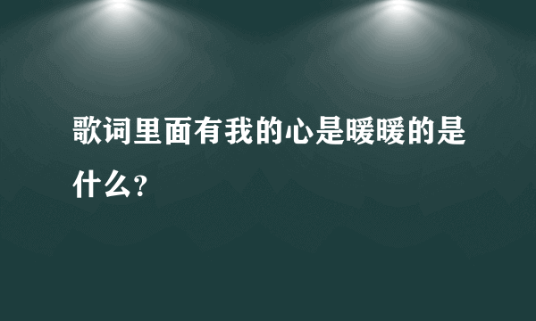 歌词里面有我的心是暖暖的是什么？