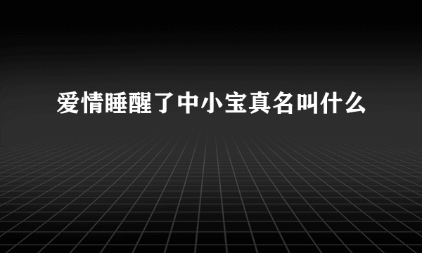 爱情睡醒了中小宝真名叫什么