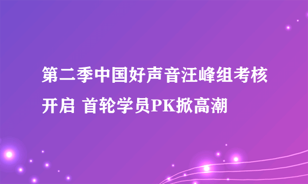 第二季中国好声音汪峰组考核开启 首轮学员PK掀高潮