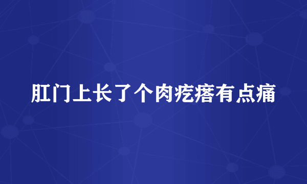 肛门上长了个肉疙瘩有点痛