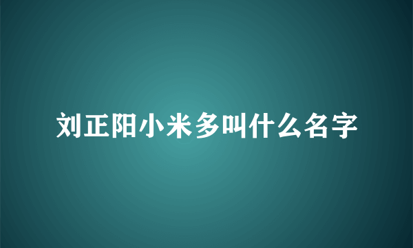 刘正阳小米多叫什么名字