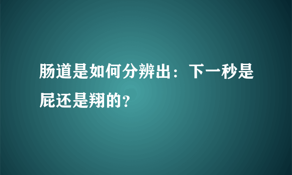 肠道是如何分辨出：下一秒是屁还是翔的？