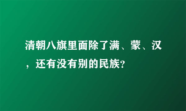 清朝八旗里面除了满、蒙、汉，还有没有别的民族？