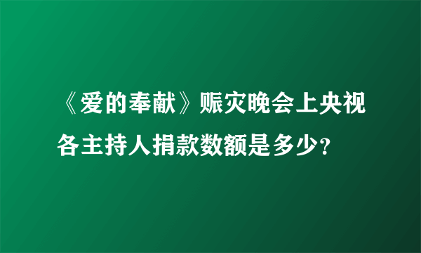 《爱的奉献》赈灾晚会上央视各主持人捐款数额是多少？