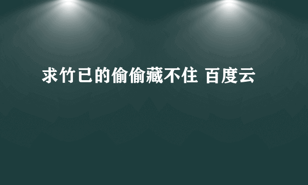 求竹已的偷偷藏不住 百度云