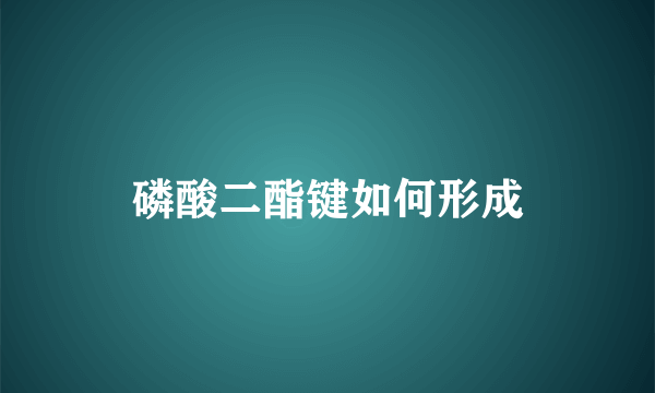 磷酸二酯键如何形成