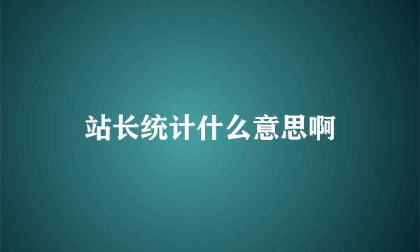 站长统计什么意思啊