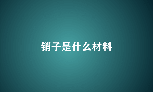 销子是什么材料