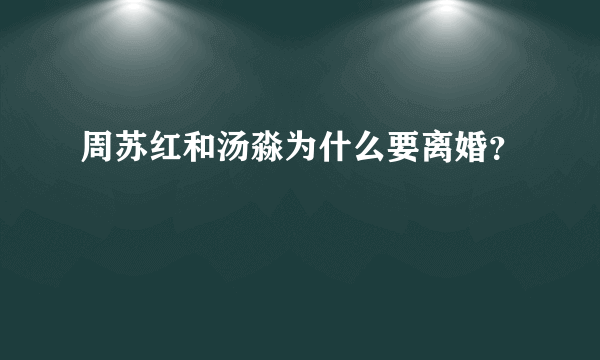 周苏红和汤淼为什么要离婚？