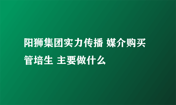 阳狮集团实力传播 媒介购买管培生 主要做什么