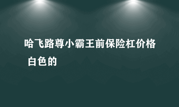 哈飞路尊小霸王前保险杠价格 白色的