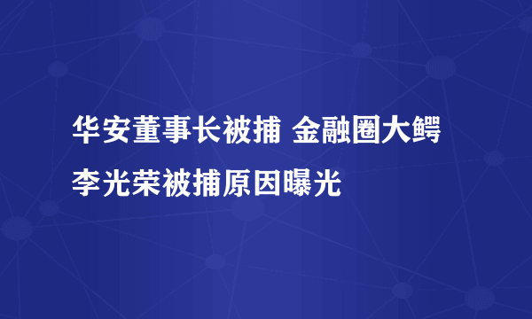 华安董事长被捕 金融圈大鳄李光荣被捕原因曝光