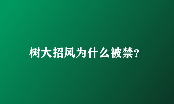 树大招风为什么被禁？