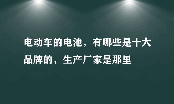 电动车的电池，有哪些是十大品牌的，生产厂家是那里