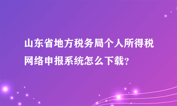 山东省地方税务局个人所得税网络申报系统怎么下载？