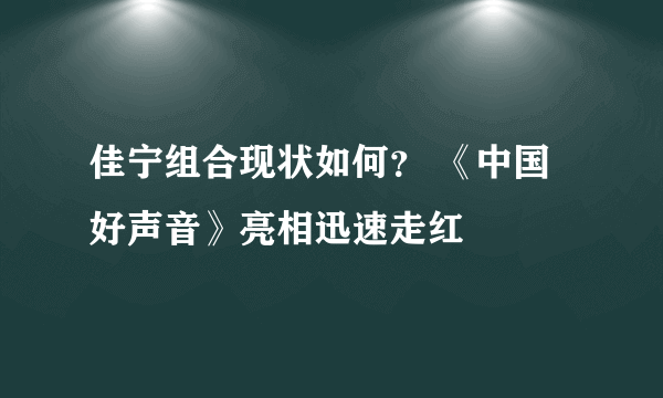 佳宁组合现状如何？ 《中国好声音》亮相迅速走红